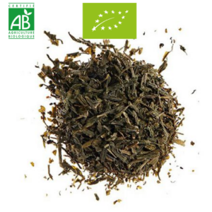 SENCHA Bio