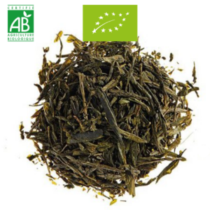 GINGEMBRE CITRON Bio