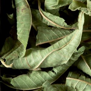 Infusion VERVEINE Vrac